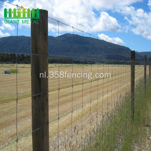 Gegalvaniseerde Yard Fence Cattle Panel